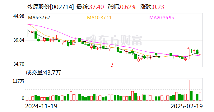 遭相关部门调查？牧原股份：未收到农业农村部等部门发出的调查通知